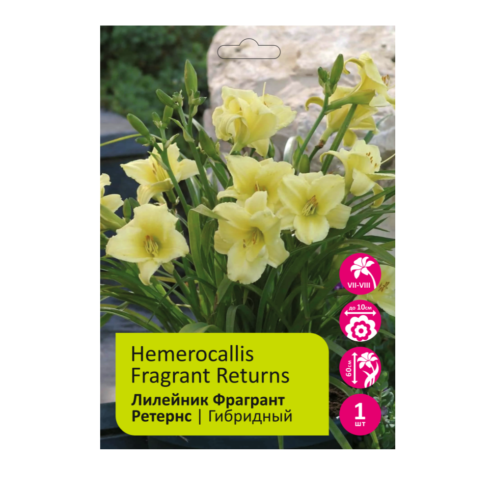 Лилейник Фрагрант Ретернс 1шт/Hemerocallis Fragrant Returns