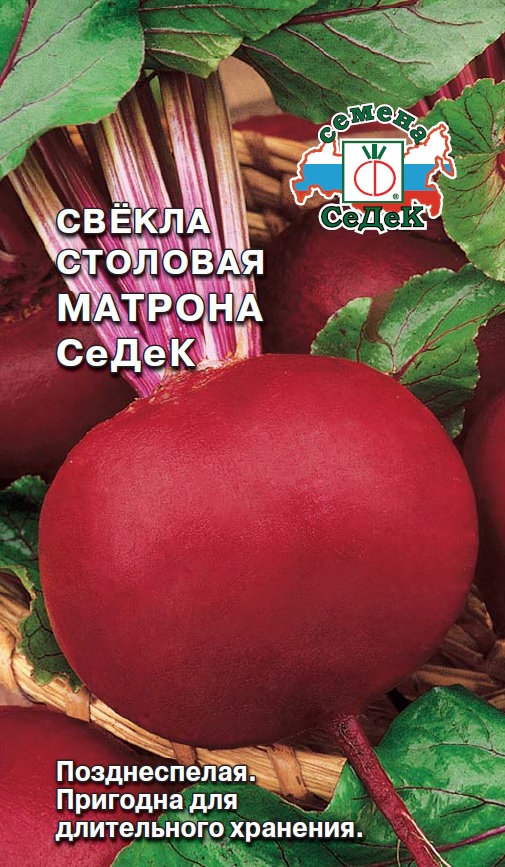 Свекла Матрона СеДеК  3гр/10