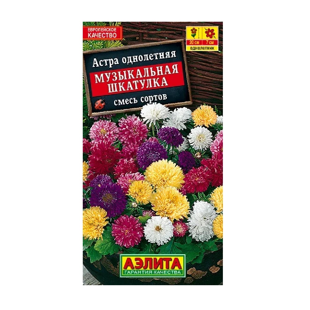 Астра однолетняя Музыкальная шкатулка, смесь сортов  0,2гр/10