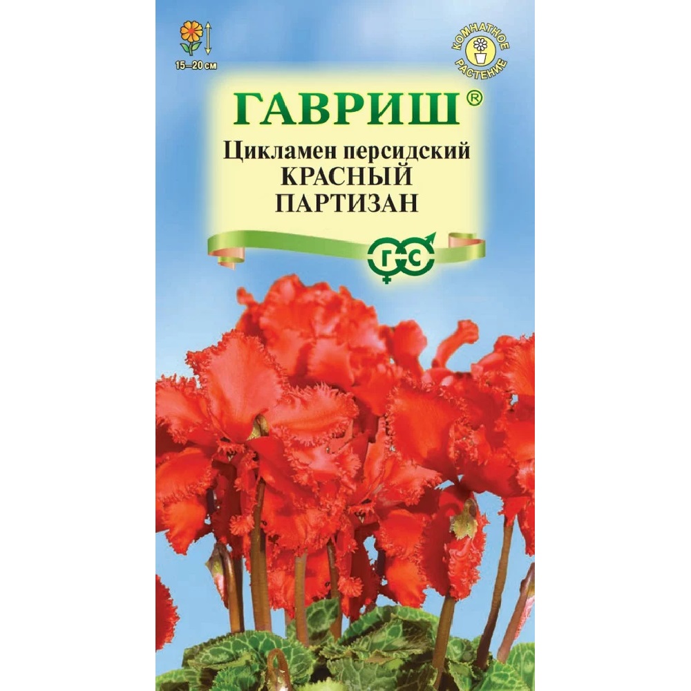 Цикламен персидский Красный партизан 3шт /10