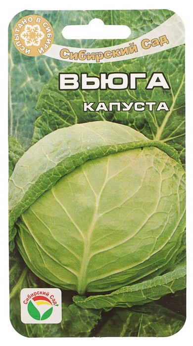Капуста б/к Вьюга  0,3гр/10