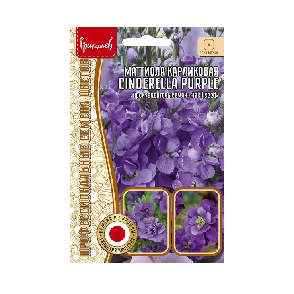 Маттиола Cinderella Purple карликовая махровая 5шт
