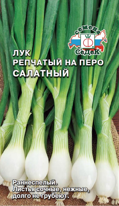 Лук на перо Салатный  1гр/10