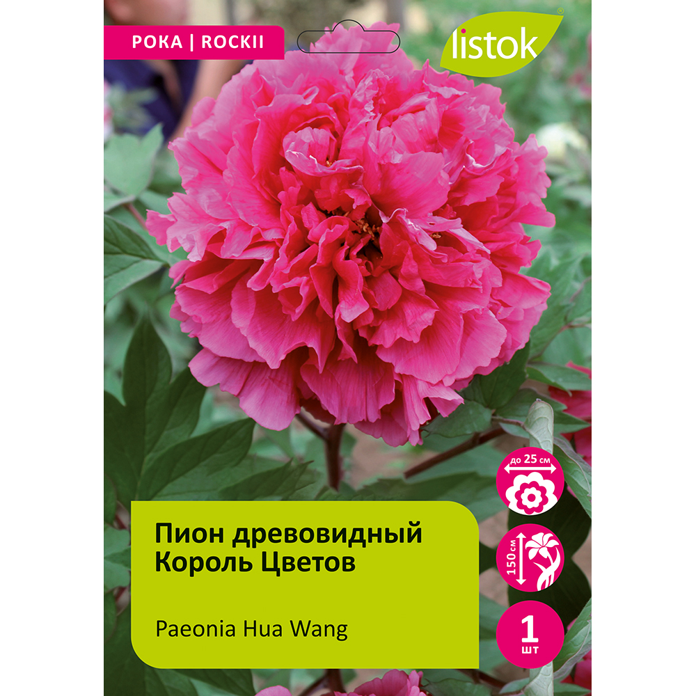 Пион древовидный Король Цветов 1шт/Paeonia Hua Wang (Хуа Ван)