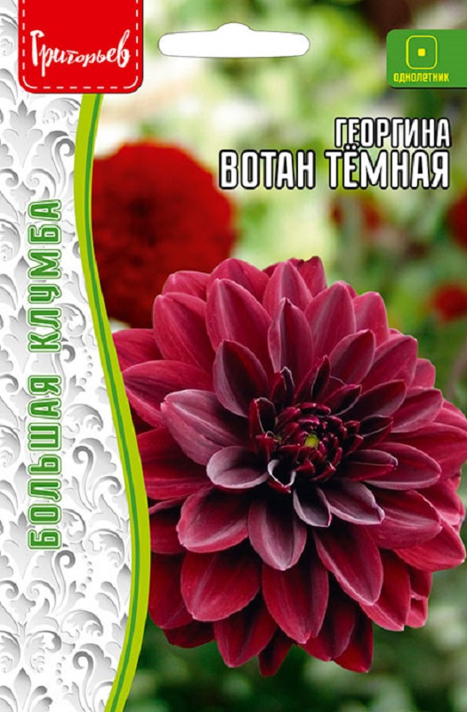 Георгина Вотан Тёмная 15шт /10