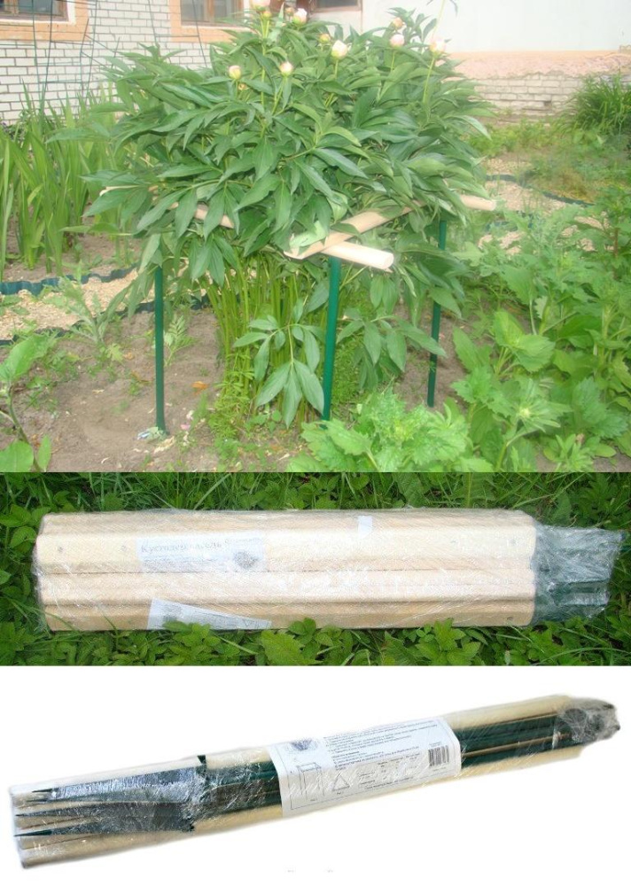 Кустодержатель разборный (металлические опоры 4шт. +  деревянные перекладины 4шт.)