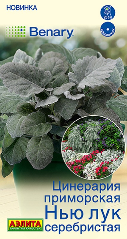 Цинерария Нью Лук серебристая 15шт /10