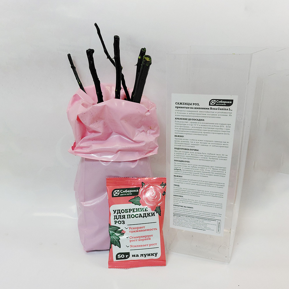 Роза Травиата чайно-гибридная 1шт /12