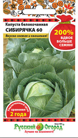 Капуста б/к Сибирячка 60  1,5гр/10/200