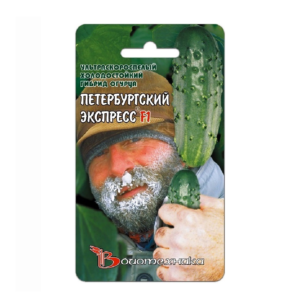 Огурец Петербургский экспресс F1  8шт/5