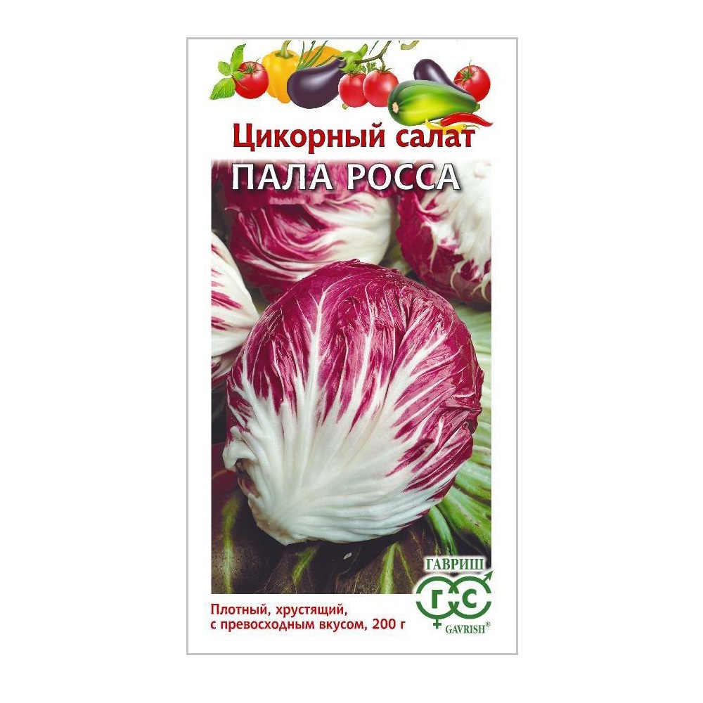 Салат цикорный Пала Росса  0,1гр/10