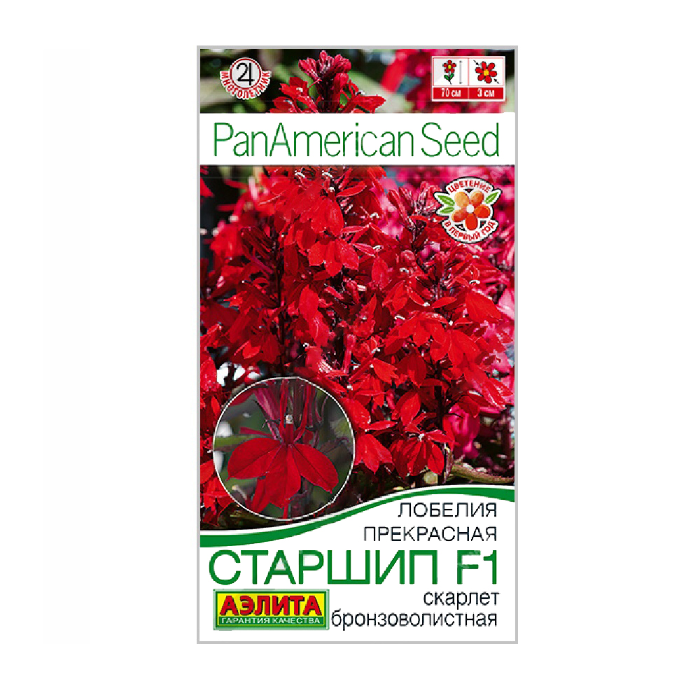 Лобелия прекрасная Старшип F1 скарлет бронзоволистная  5 шт/10
