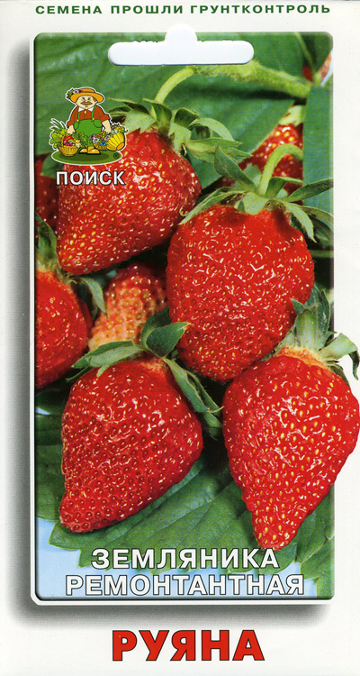 Кабачок Золотинка цуккини  12шт/10