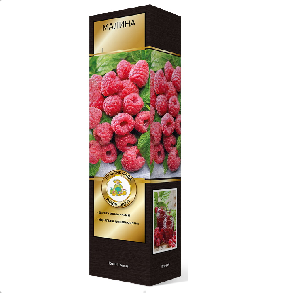 Малина Гордость России 1шт.