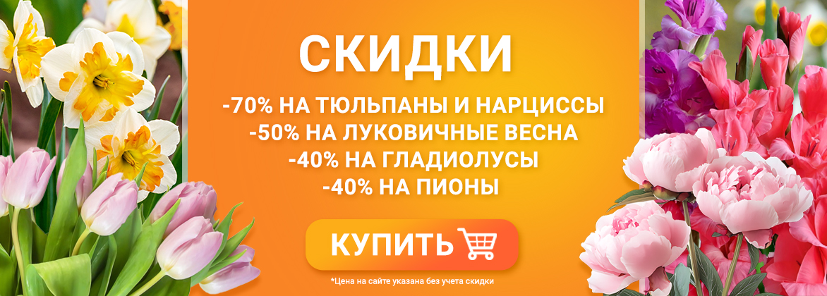 Скидки на луковичные