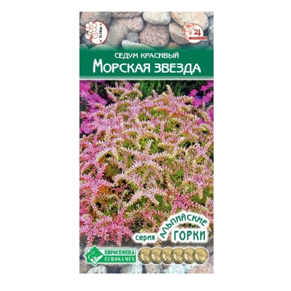 Седум Морская звезда красивый 10шт /10