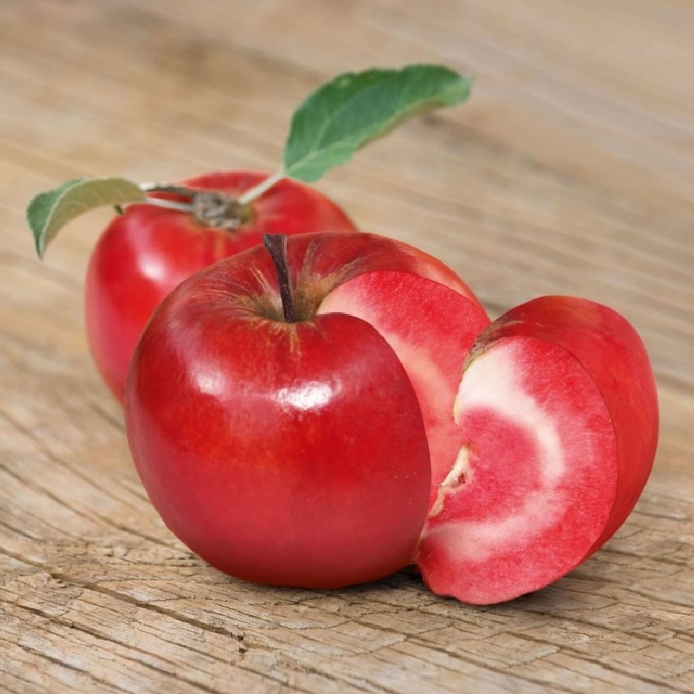 Яблоня красномякотная Редлав Эра (подвой 54-118 полукарл.) (в сетке) 1шт