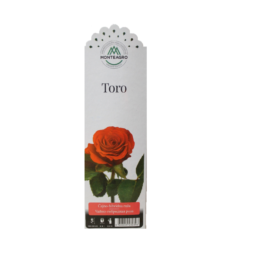 Роза Торо чайно-гибридная 1шт/Toro /20