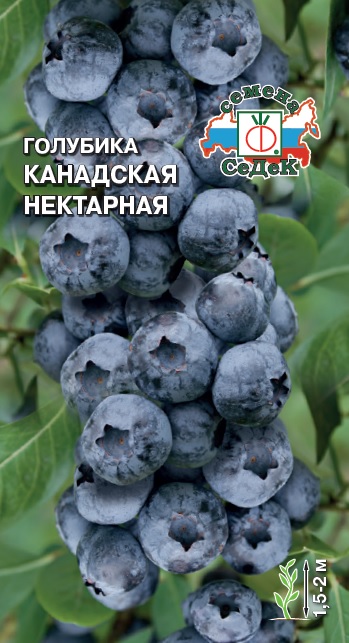 Голубика канадская Нектарная  0,05гр/10