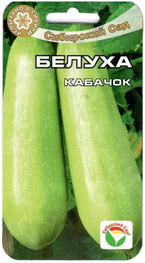 Кабачок Белуха  5шт/10