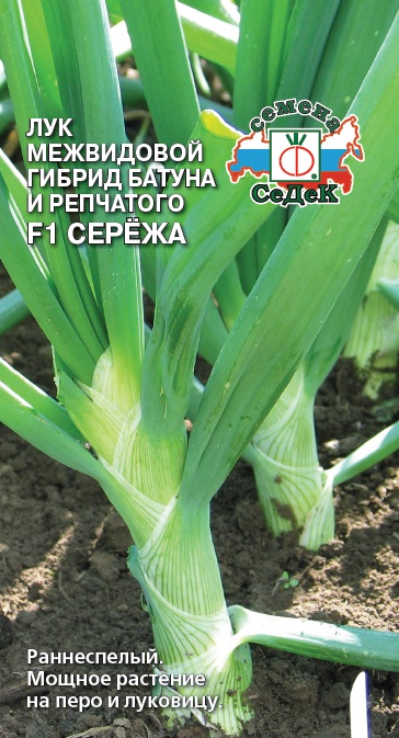 Лук батун Серёжа  0,3гр/10