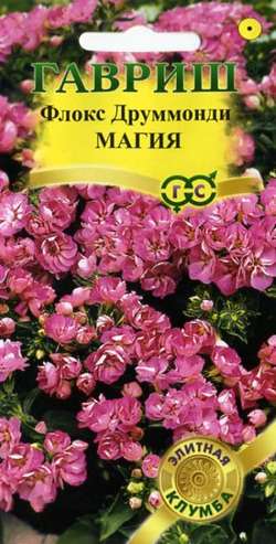 Флокс друммонда Магия  8шт/10