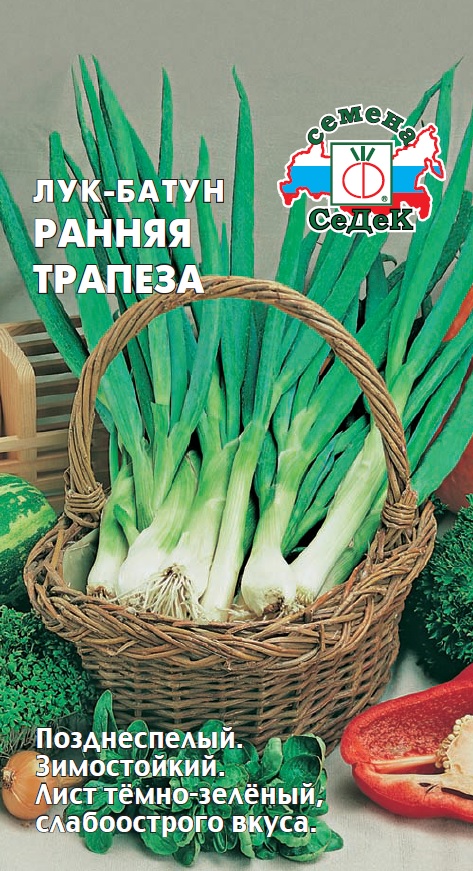 Лук батун Ранняя Трапеза  1гр/10