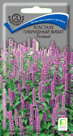 Агастахе Виват Розовый гибридный  10шт/10