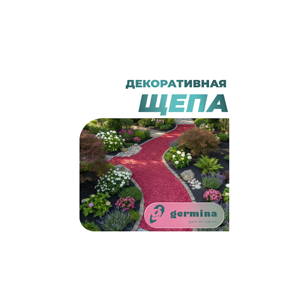 Щепа из хвойных пород дерева Свекольный 50л 