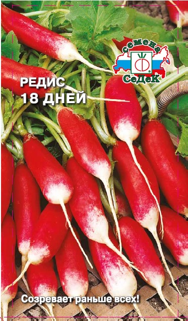 Редис 18 Дней  3гр/10