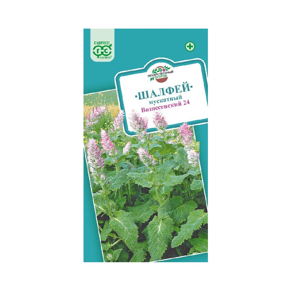 Шалфей Мускатный Вознесенский 24  0,3гр/10