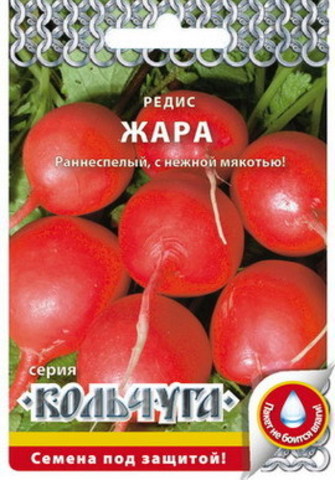 Редис Жара  2гр/10/200
