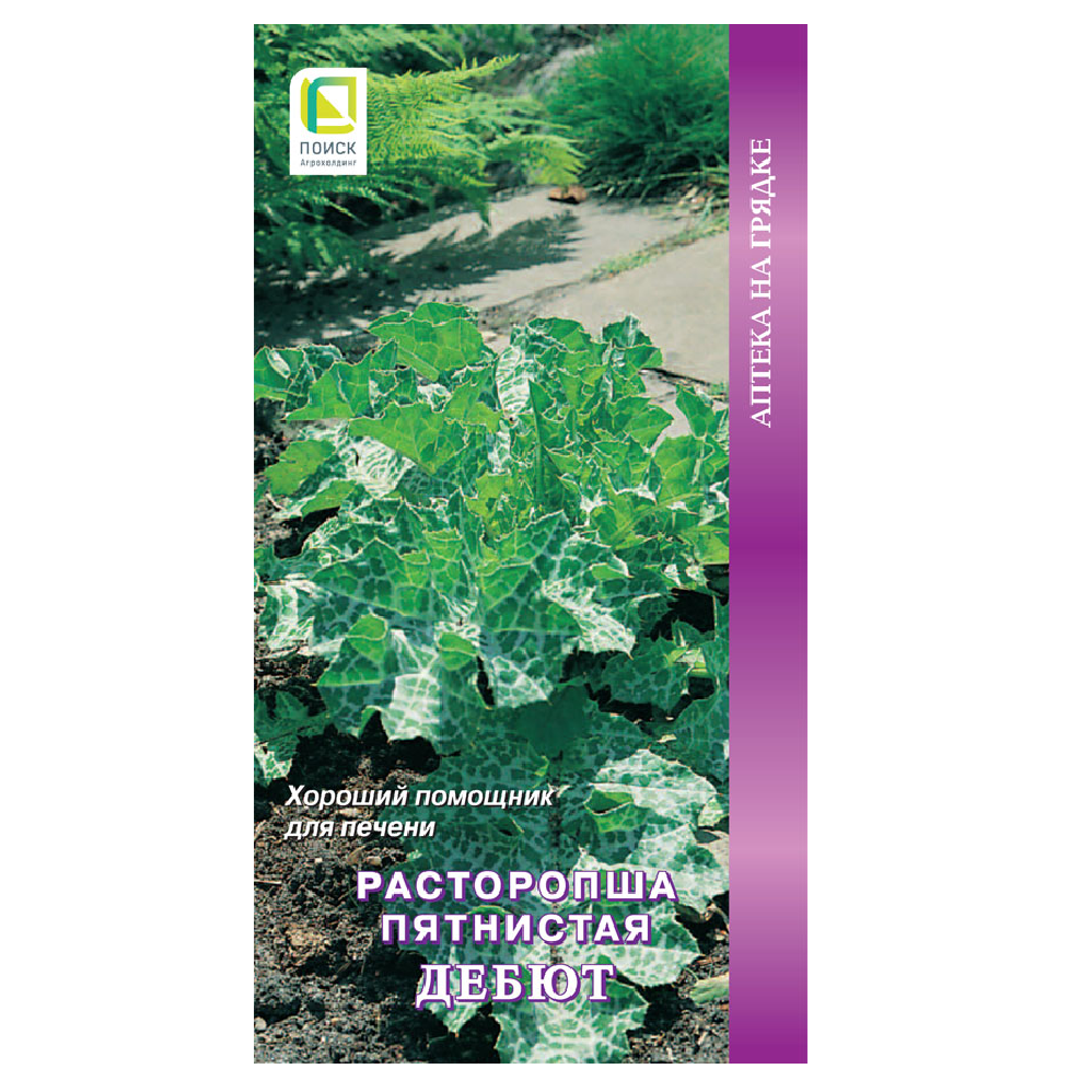 Расторопша пятнистая Дебют/Аптека на грядке  0,5гр/10