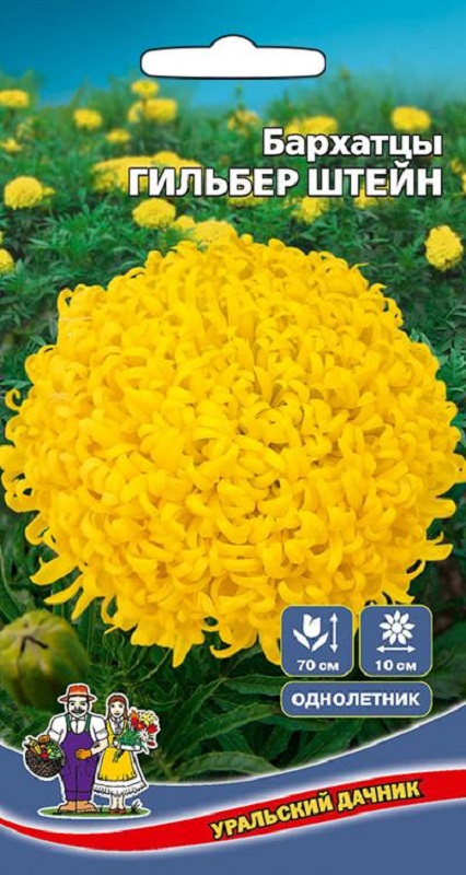 Бархатцы Гильбер Штейн 0,2гр /10