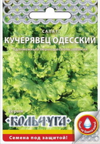 Салат Кучерявец одесский кочанный  1гр/10/200