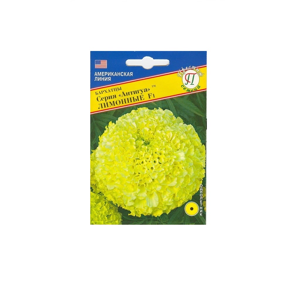 Бархатцы Антигуа Лимонные прямостоячие F1  5шт/10/50