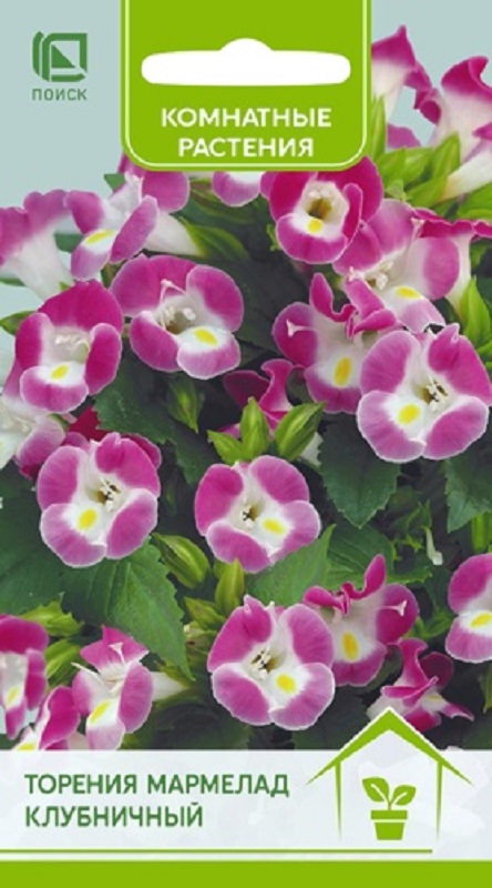 Торения Мармелад Клубничный  5шт/10