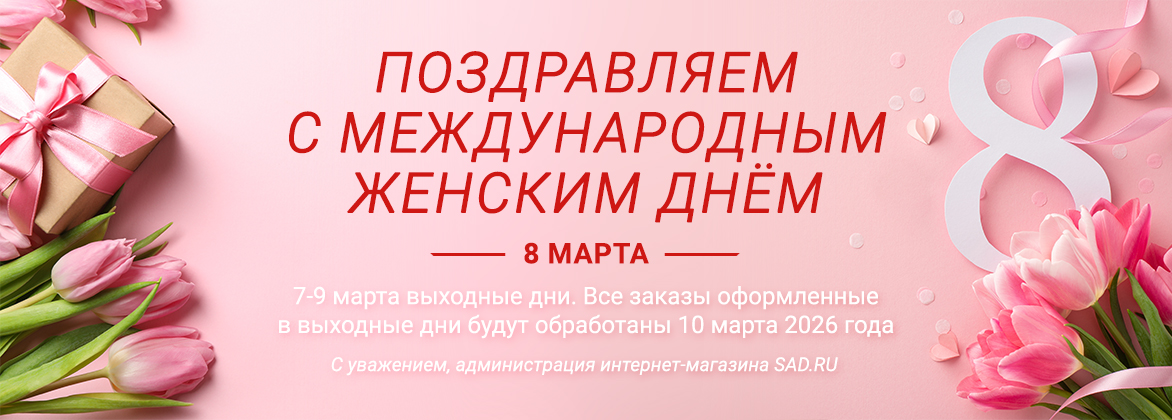8 марта 2026