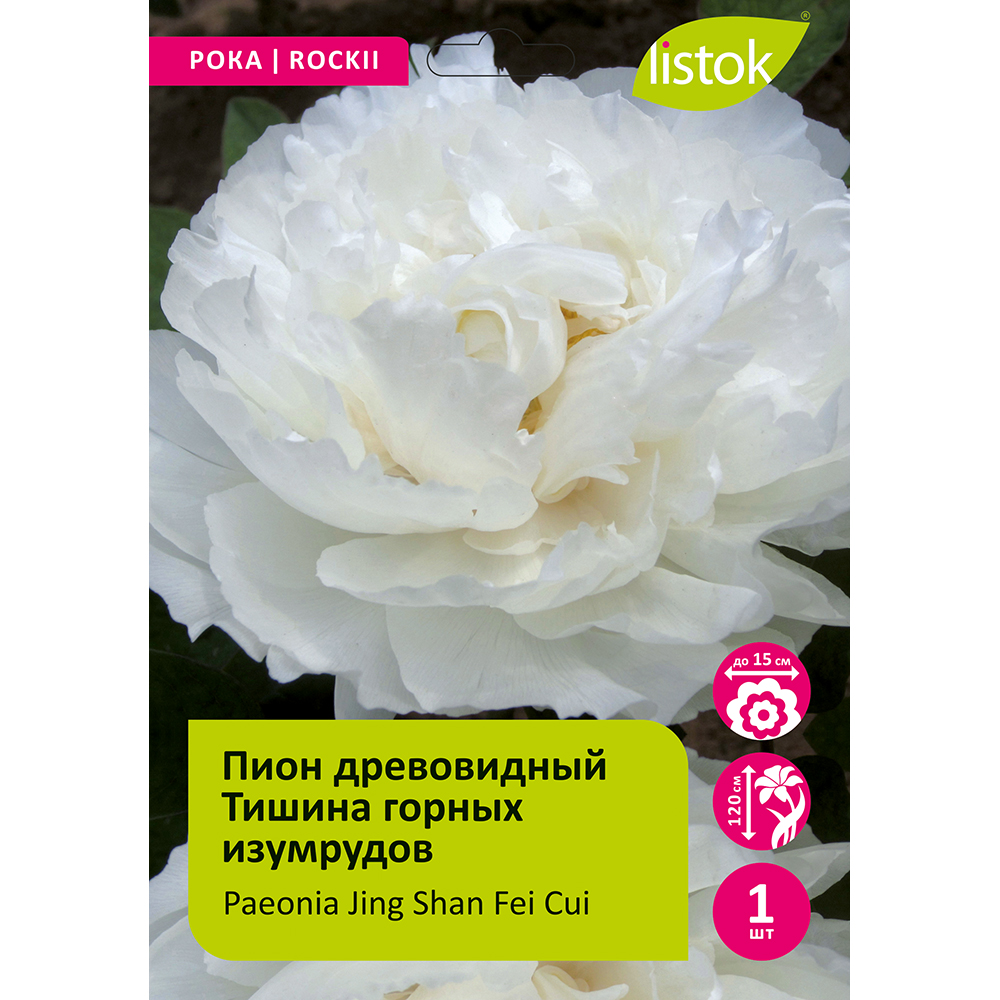 Пион древовидный Тишина горных изумрудов 1шт/ Paeonia Jing Shan Fei Cui (Цзин Шань Фэй Цуй)