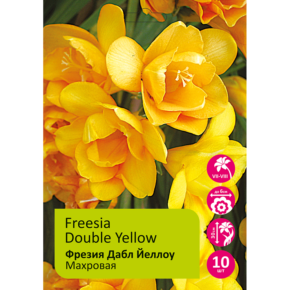 Фрезия Дабл Йеллоу махровая 10шт 5/6 /Freesia Double Yellow