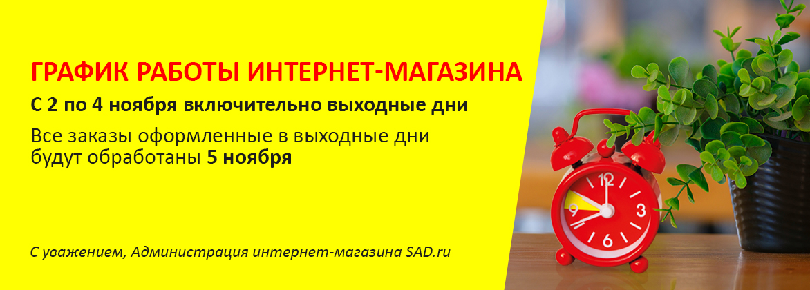 График работы 4 ноября 2025 год