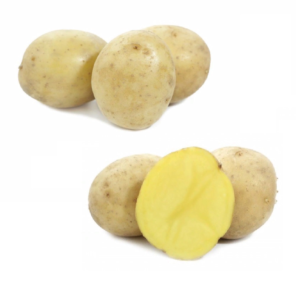 Картофель семенной Гала (1 репродук. фр.30-60)  25 кг +/- 10%
