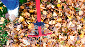 работы ноябрь