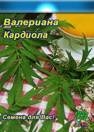 Валериана лекарственная Кардиола/Аптека на грядке 80шт/10