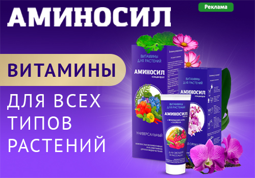 5 Incredibly Useful автополива Tips For Small Businesses