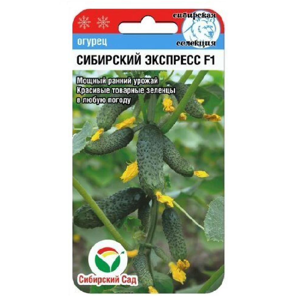 Огурец Сибирский экспресс F1  7шт/10