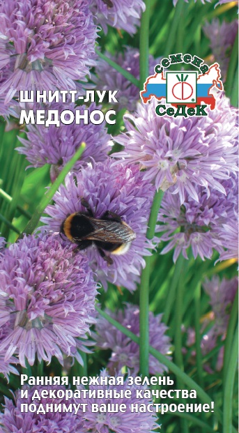 Лук шнитт Медонос  0,5гр/ 10