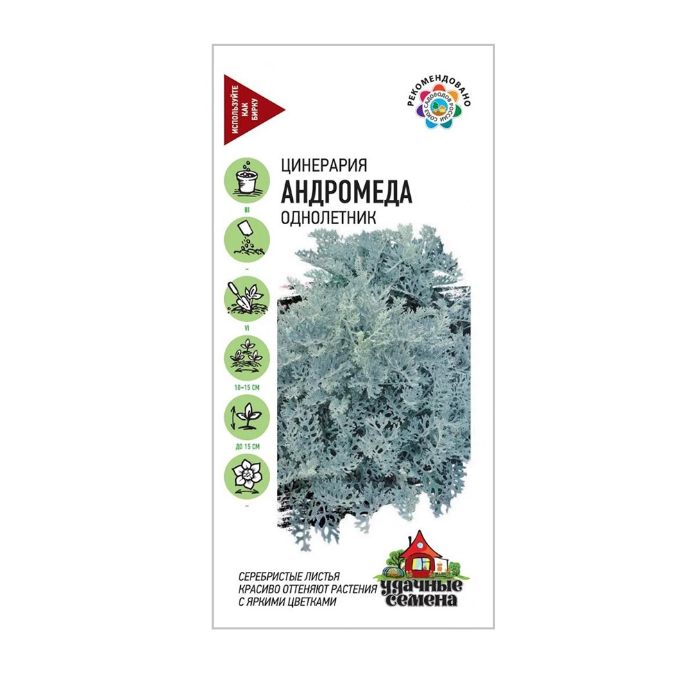 Цинерария Андромеда/Удачные семена  0,05гр