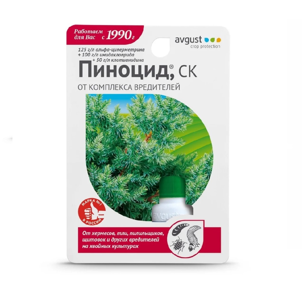 ПИНОЦИД АВГУСТ 10мл /80