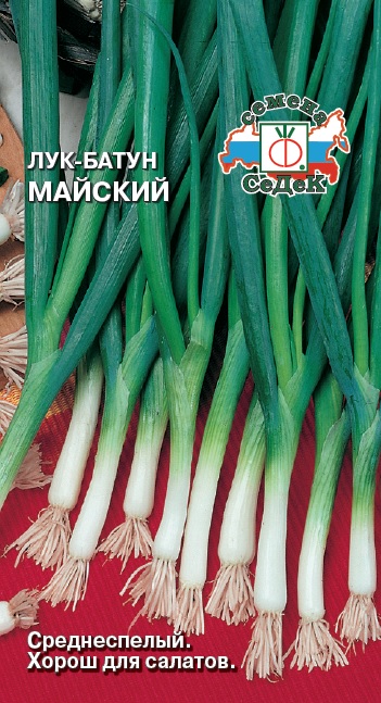 Лук батун Майский  1гр/10